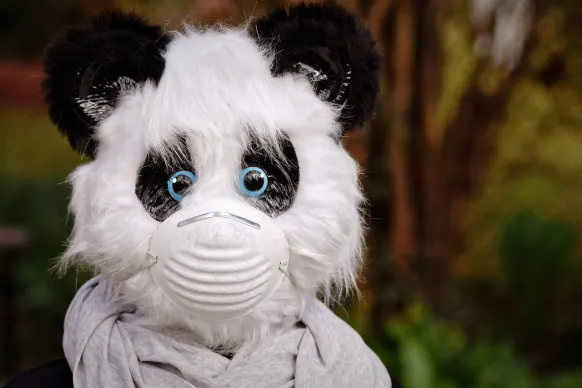 Stay Casino Supporto